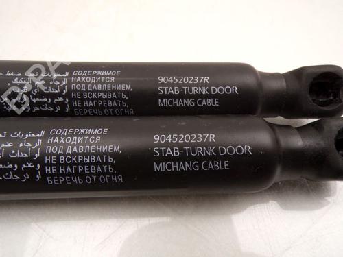 Tailgate lift support RENAULT ARKANA I (LCM_, LDN_) 1.3 TCe 140 (LDN0) | BP31865861C138