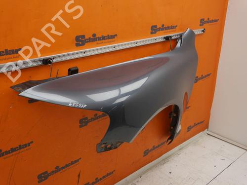 Left front fenders VW TOUAREG (7LA, 7L6, 7L7) 3.2 V6 | BP24414663C41 