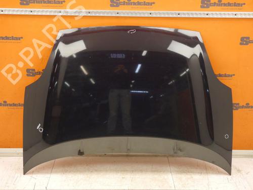 Used Hood FIAT PUNTO EVO (199_) 1.2 (65 hp) 25795353