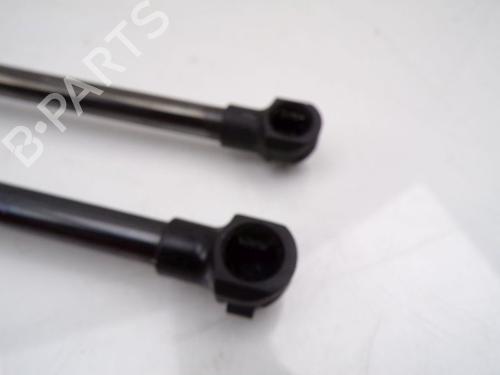 Tailgate lift support RENAULT ARKANA I (LCM_, LDN_) 1.3 TCe 140 (LDN0) | BP31865861C138
