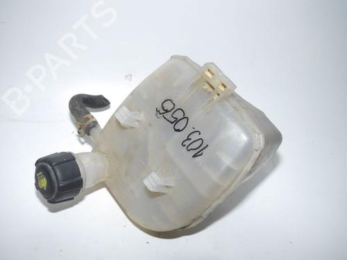 Ekspansjonstank RENAULT TWINGO II (CN0_) 1.2 16V (CN04, CN0B) (75 hp) 33141151