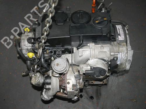Engine VW GOLF V (1K1) 1.9 TDI | BP39038890M1  - Image 6