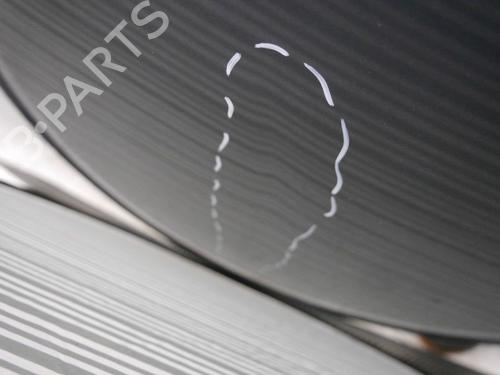 Panser FORD C-MAX (DM2) 1.6 | BP30047433C1