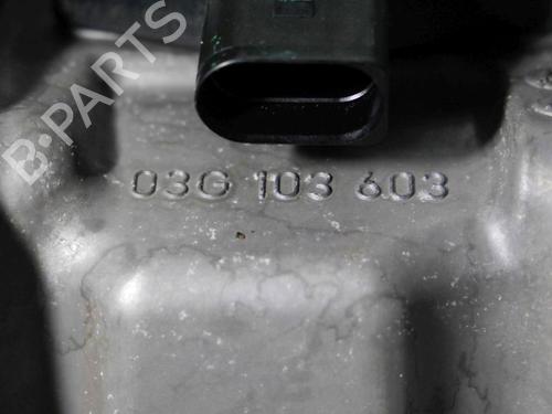 Oil sump VW PASSAT B6 (3C2) 2.0 TDI 4motion | BP32151595M115 