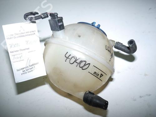 Expansion tank VW SHARAN (7M8, 7M9, 7M6) 1.9 TDI | BP24381110C120 