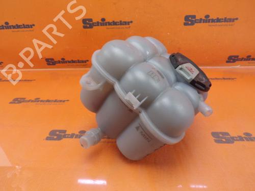 Expansion tank AUDI Q7 (4MB, 4MG, 4MQ) 3.0 TDI quattro | BP24412936C120 