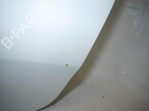 Left front door FIAT GRANDE PUNTO (199_) 1.4 (199AXB11, 199AXB1A, 199BXB1A, 199AXL1A) | BP24385310C2 