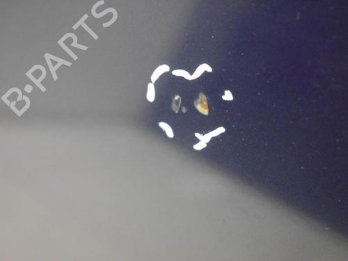 Capot VW NEW BEETLE (9C1, 1C1) 2.0 | BP30796066C1