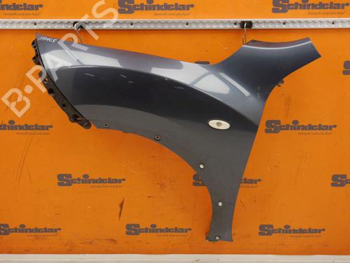 Guarda-lamas esquerdo Guarda-lamas esquerdo NISSAN JUKE (F15) 1.5 dCi (110 hp) 33151460 33151460