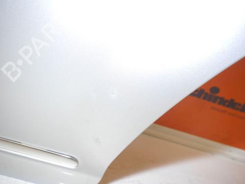 Left rear door MERCEDES-BENZ S-CLASS (W221, V221) S 320 CDI (221.022, 221.122) | BP24391607C4 