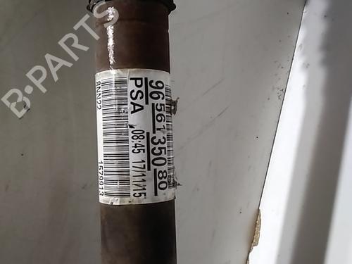 Other PEUGEOT 207 (WA_, WC_)  | BP17246715O1 