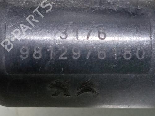 Vacuum pump PEUGEOT 208 I (CA_, CC_)  | BP17247294M80