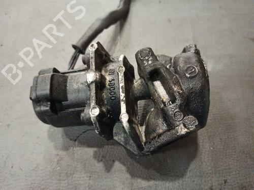 Egr FORD FOCUS III | BP17248490M69