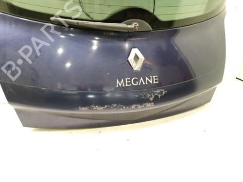 Coffre RENAULT MEGANE II (BM0/1_, CM0/1_)  | BP17251623C6