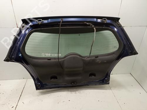 Coffre RENAULT MEGANE II (BM0/1_, CM0/1_)  | BP17251623C6