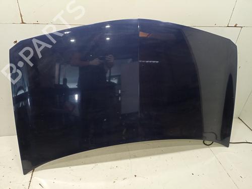 Motorhjelm RENAULT MEGANE II (BM0/1_, CM0/1_) [2001-2012]  17251625