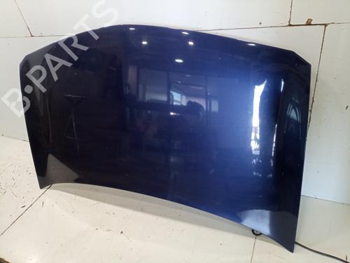 Motorhjelm RENAULT MEGANE II (BM0/1_, CM0/1_)  | BP17251625C1