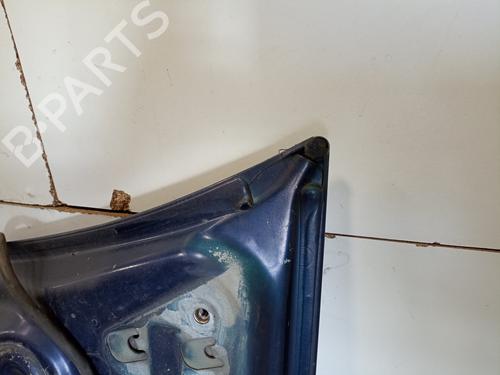 Motorhjelm RENAULT MEGANE II (BM0/1_, CM0/1_)  | BP17251625C1