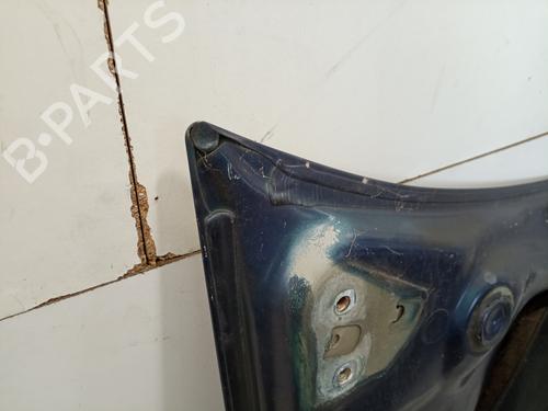 Motorhjelm RENAULT MEGANE II (BM0/1_, CM0/1_)  | BP17251625C1