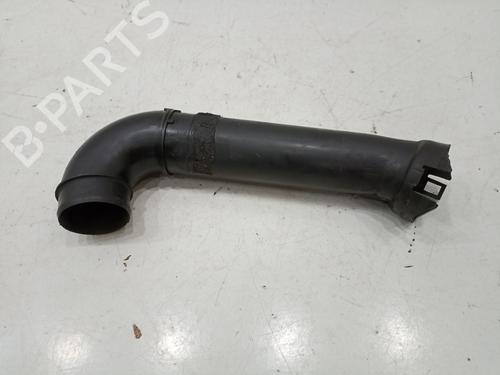 Used Other RENAULT MEGANE II (BM0/1_, CM0/1_) [2001-2012]  17251717