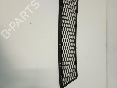 BP17252175C40 | Front grille BMW 3 Coupe (E92)  BP17252175C40