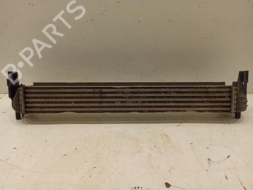 Intercooler VW POLO V (6R1, 6C1) [2009-2024]  17252632