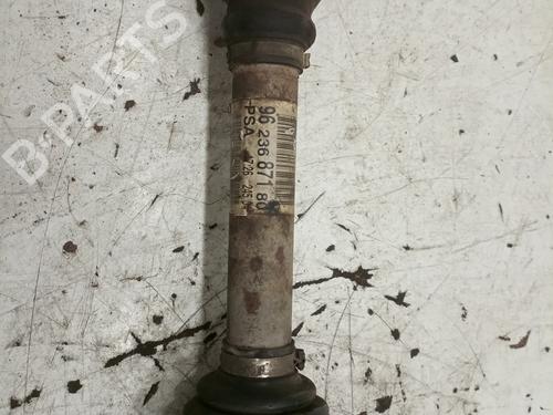 Other CITROËN XSARA Coupe (N0) | BP17255388O1