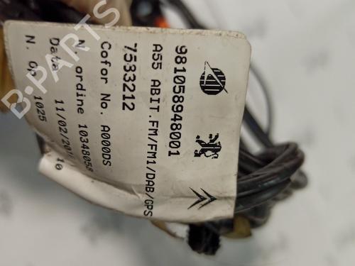 Cable CITROËN DS3 (SA_) | BP17255890E12