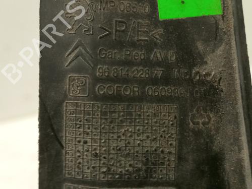 Andre CITROËN BERLINGO MULTISPACE (B9) | BP17257049O1