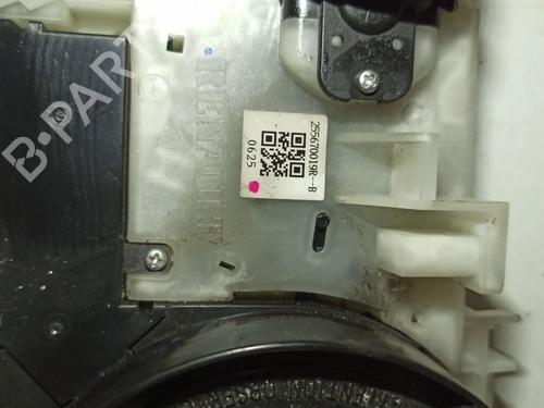 Used Steering column stalk RENAULT SCÉNIC III (JZ0/1_) 1.5 dCi (106 hp) 17265020