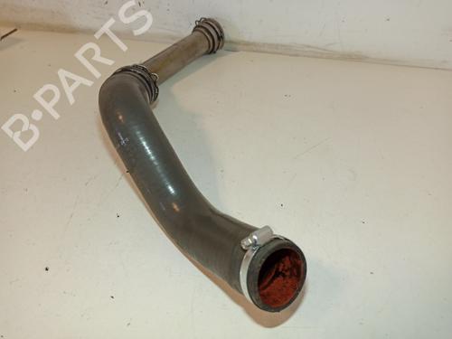 Other RENAULT SCÉNIC III (JZ0/1_)  | BP17265108O1