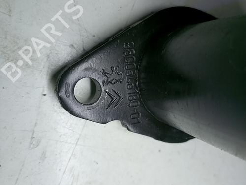 Used Other CITROËN DS5 2.0 HDi 165 Hybrid4 4x4 (163 hp) 17268633