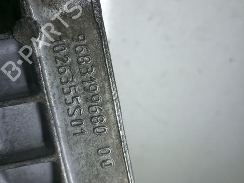 Used Support CITROËN DS5 2.0 HDi 165 Hybrid4 4x4 (163 hp) 17268648