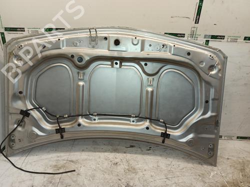 Used Hood RENAULT MEGANE II (BM0/1_, CM0/1_) [2001-2012]  17270664