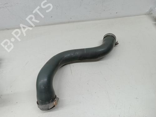 Other RENAULT MEGANE II (BM0/1_, CM0/1_) 1.5 dCi (BM1F, CM1F) | BP17270810O1 