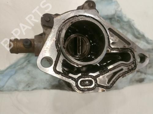 Vacuum pump RENAULT KANGOO (KC0/1_)  | BP17272121M80 