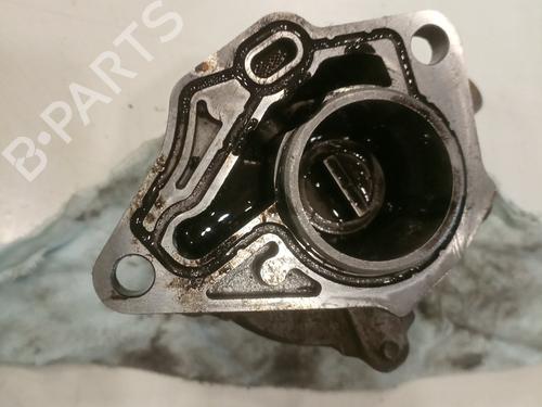 Vacuum pump RENAULT KANGOO (KC0/1_)  | BP17272121M80 