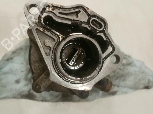 Vacuum pump RENAULT KANGOO (KC0/1_)  | BP17272121M80 
