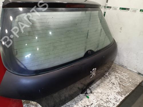 Bagklap CC/Kombi-Coupé PEUGEOT 307 (3A/C) 1.4 HDi | BP17283848C6