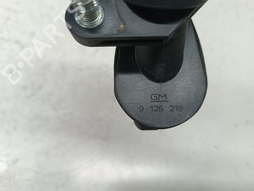 Vacuum pump OPEL COMBO Box Body/MPV  | BP17306619M80 