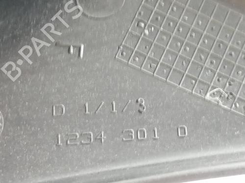 Right mirror RENAULT CLIO II Hatchback Van (SB0/1/2_) 1.5 dCi (SB07) | BP19021165C27 