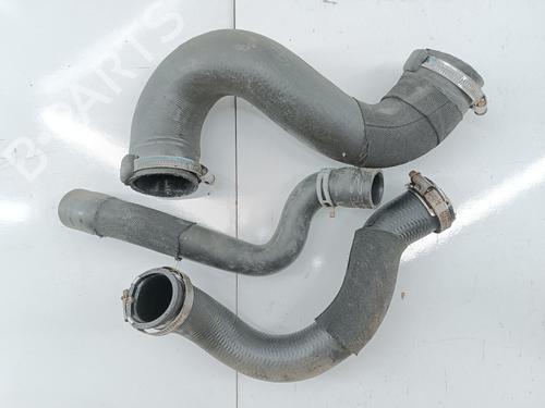 Altro CITROËN DS5 2.0 HDi 165 Hybrid4 4x4 (163 hp) 19335869