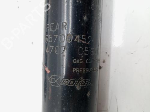 Left rear shock absorber FIAT GRANDE PUNTO (199_)  | BP19779833M18 