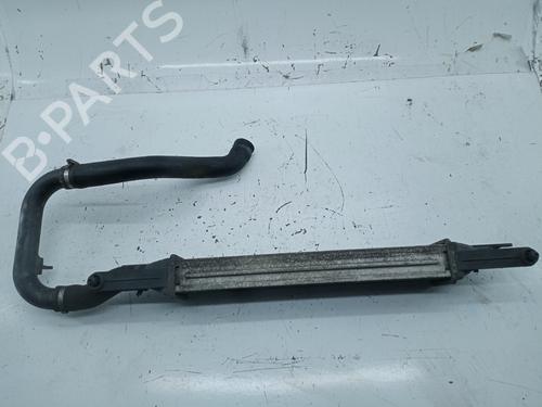 Used Intercooler FIAT GRANDE PUNTO (199_) [2005-2025]  20215062