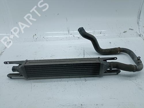 Intercooler FIAT GRANDE PUNTO (199_)  | BP20215062M30 