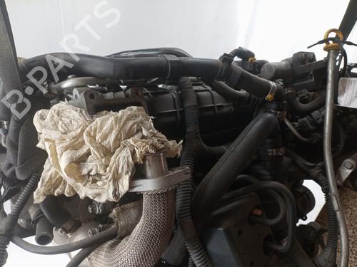 Silnik FIAT BRAVO II (198_)  | BP17291293M1