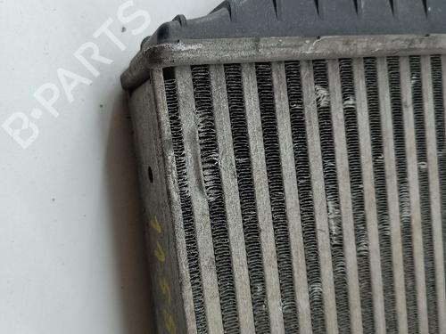 Intercooler FIAT PUNTO (188_)  | BP20704852M30 