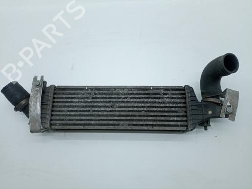 Intercooler NISSAN PRIMERA (P12)  | BP21004805M30 