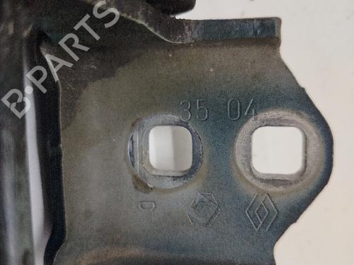 Hinge/Door check strap RENAULT MEGANE II (BM0/1_, CM0/1_) | BP21389647C146