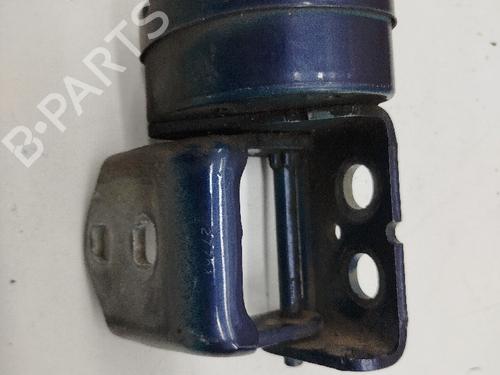 Hinge/Door check strap RENAULT MEGANE II (BM0/1_, CM0/1_) | BP21389647C146